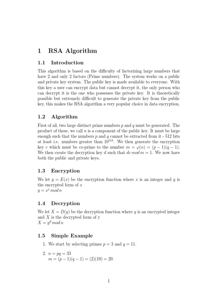 RSA Project | PDF