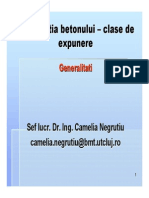 Curs Durabilitate