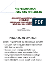 Teknik Penanaman, Pengurusan Dan Penjagaan