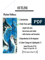 Outline: Phylum Mollusca