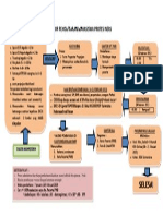 Alur Pendaftaran Mahasiswa Profesi Ners