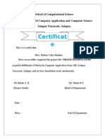 Vidya Certificate
