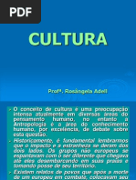 Aula 1 - Cultura