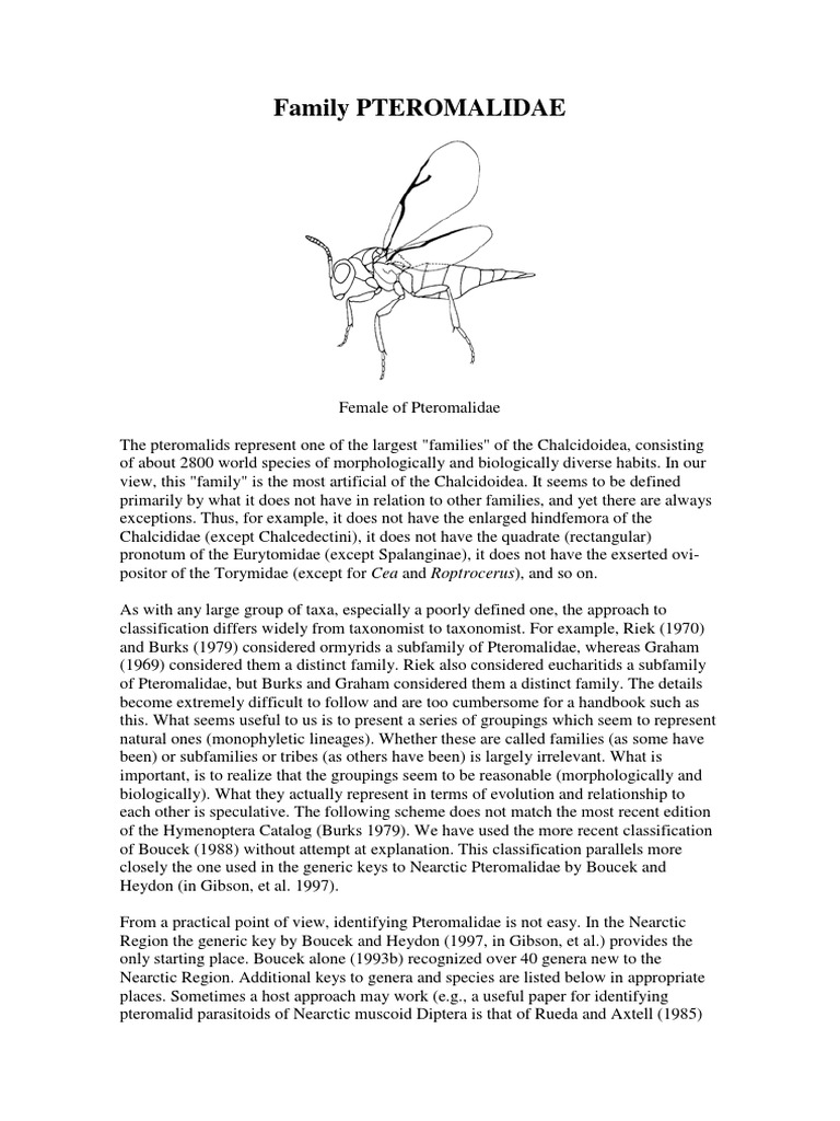 Overview of Pteromalidae Wasps | PDF | Wasp | Insects