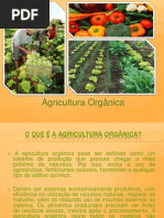Agricultura Organica