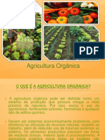 Agricultura Organica