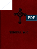 Triodul Mic PDF