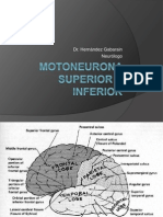 37.Motoneurona Superior e Inferior