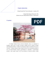 Relato Projeto Adolescencia PDF