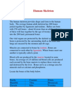 human skeleton lesson and worksheet