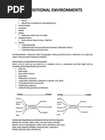 Depositional Environments