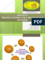 Presentador de Proyecto Comunitario