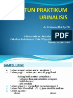 Urinalisis Praktikum