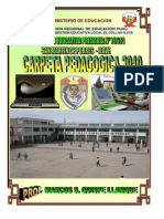 41795166-DAIP-carpeta-pedagogica-2010