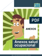 ANEXO DE SO