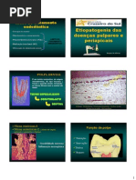 Aula de diagnostico Doenças da Polpa e Periapice_unicsul_2013_Brigida