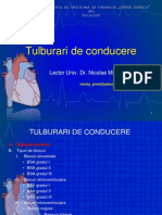 Lp3 - EKG Tulburarile de Conducere