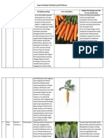 Tugas Deskripsi Tumbuhan Yang Ada Pada Makanan