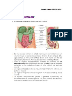 Cavidaad Peritoneal