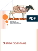 Anvet I - 09 - Splanchnologi 2 - Sistem Digesti