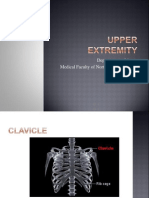 Upper Limb.ppt