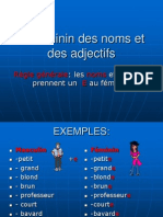 7 Le Fminin Des Noms Et Des Adjectifs p.p.