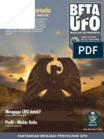 Beta-ufo No 14 Feb2008