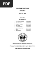 Download 95728598 Laporan Praktikum Isolasi Dna by Long Ayu SN178044818 doc pdf