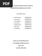 Download 72117440-makalah-lebah by Adelia Rochma SN178059511 doc pdf