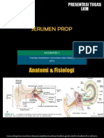 LKM Kel 1 Serumen Prop
