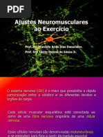 Ajustes Neuromusculares ao Exercício