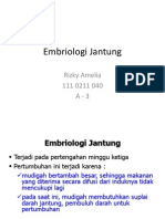 1.embriologi Jantung