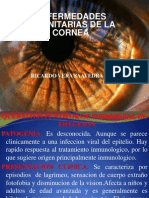 Enfermedades Inmunitarias de La Cornea