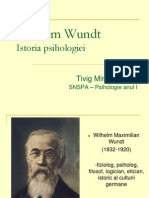 Wilhelm Wundt!