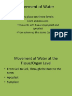 Movement of Water