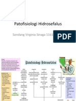 Patofisiologi Hidrosefalus