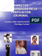 ASPECTOS METODOÓGICOS DE LA PERFILACIÓN CRIMINAL