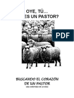 Buscando el Corazon de un Pastor.pdf