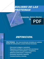 Metabolismo de Las Proteinas