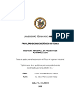 Tesis Gestion de Procesos PDF