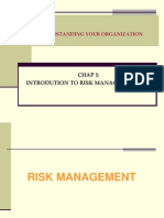Understanding Your Organization: Chap 1: Introdution To Risk Management