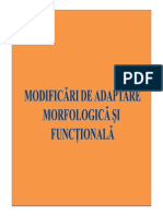 LP_7modificari adaptative si morfologice si functionale