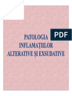 Patologia Inflamatiilor Alterative Si Exsudative