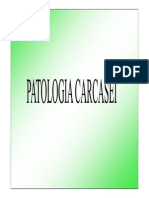 Patologia Carcasei