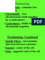 Terminology - Centrosome - Contains Two - Chromatids - Two