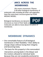 Dynamics Across The Membranes