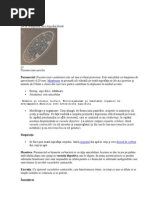 Download parameci by Cobra SN178183608 doc pdf