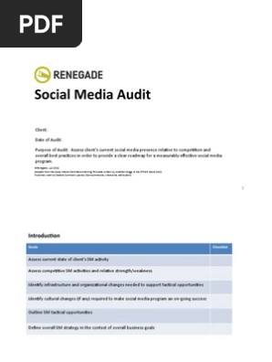 Social Media Audit Template