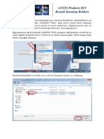 Resimli ANSYS Products Kurulum Rehberi v2.0