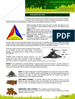 Ficha - Base y Tipos de Fuego v02